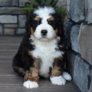 Jax