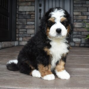 Jax